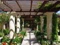 Arbors & Gates