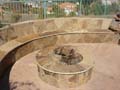 Fireplaces & Pits