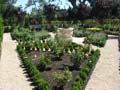 Planting