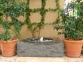 Water Features
